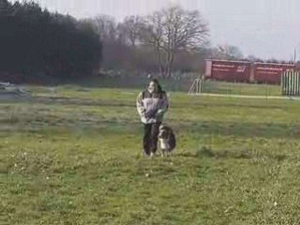 Marche en laisse