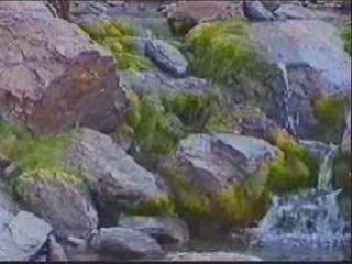 Desde el nacimiento del Río Lanjarón