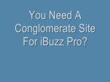 You Need A Conglomerate Site For iBuzz Pro
