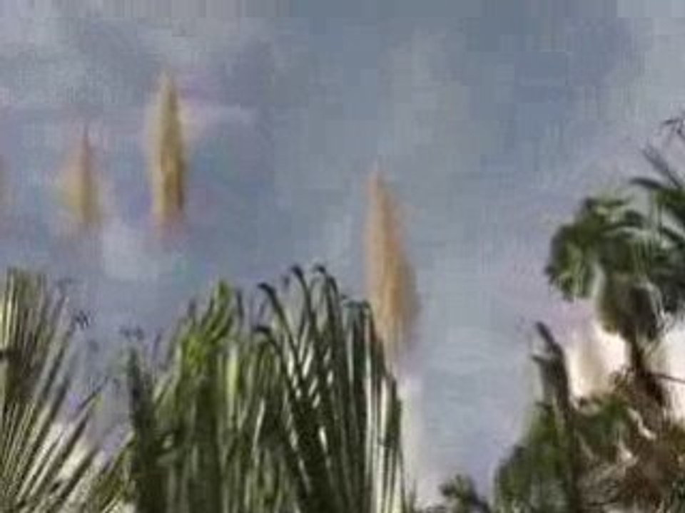 De quoi faire de bonnes fleches