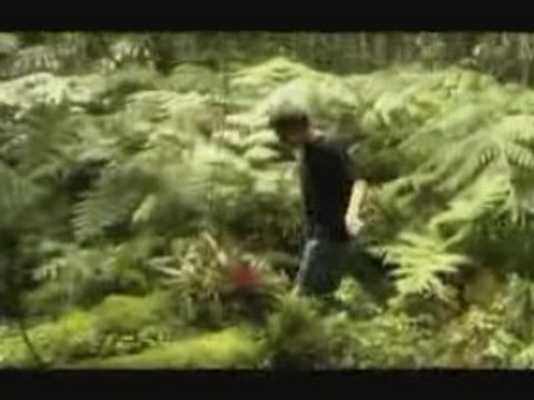 Preparing for the Singularity with Terence McKenna