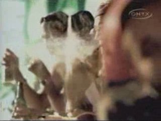 [Reggae] Kymani Marley - The Journey