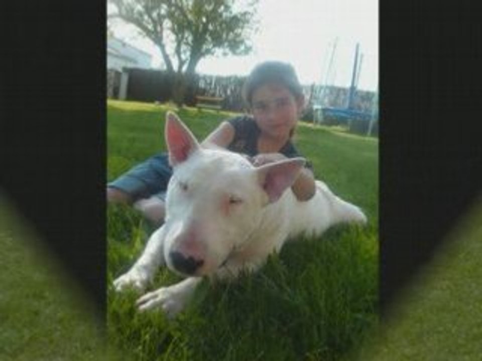 CESAR
