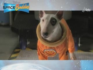 Five Fluffy Puppies in Space