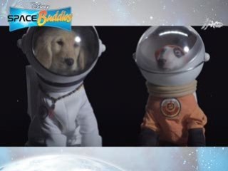 Space Buddies -Moon View