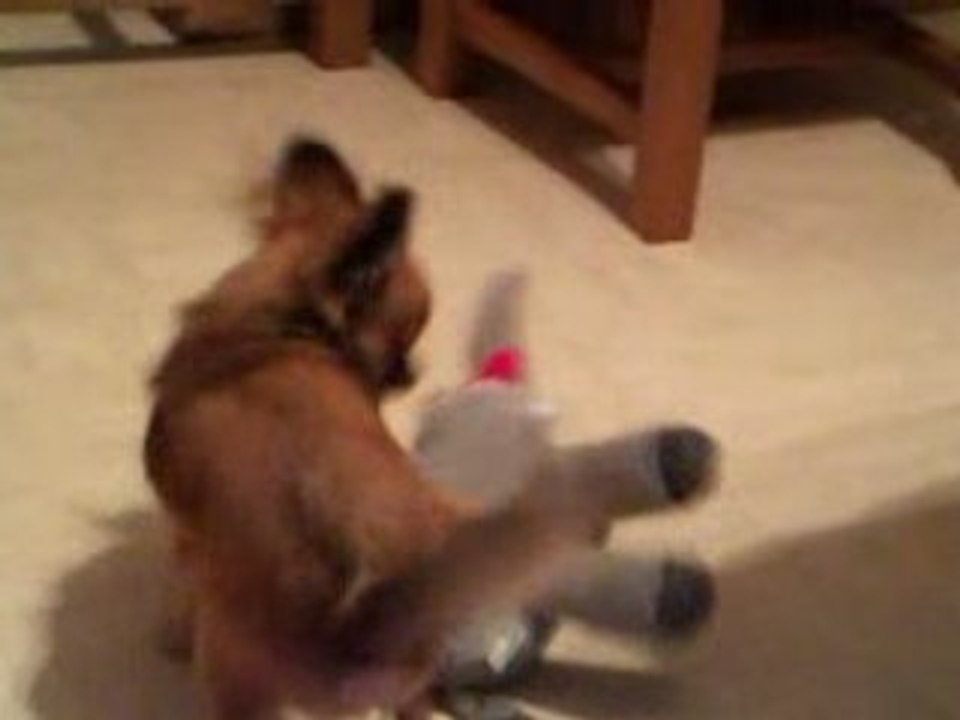 Vidéo0027