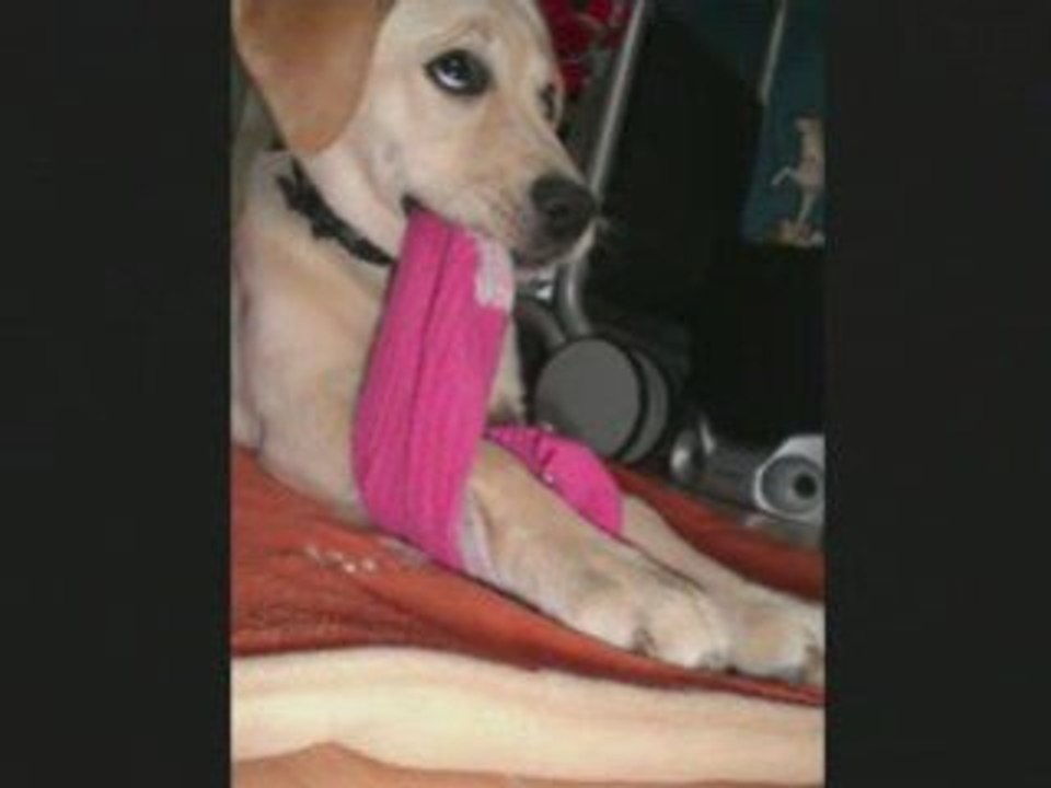 Cheriee