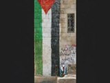 Poème pour la Terre palestinienne et tout son Peuple meurtri