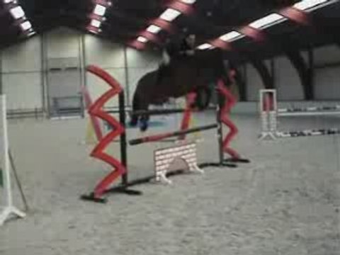 Hongre cso prêt 1m30