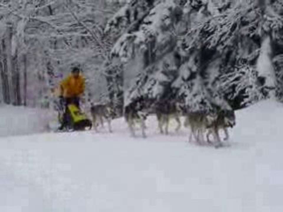 Pascal à l'entraînement