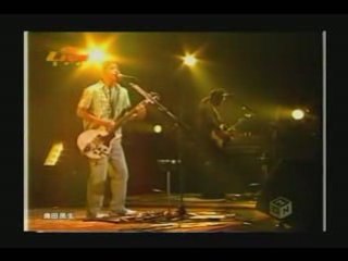 ライオンはトラより美しい