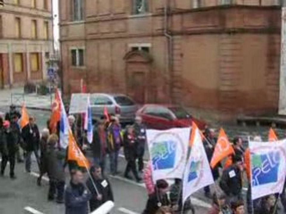 La CFDT à la manifestation du 29 janvier 2009 à Montauban