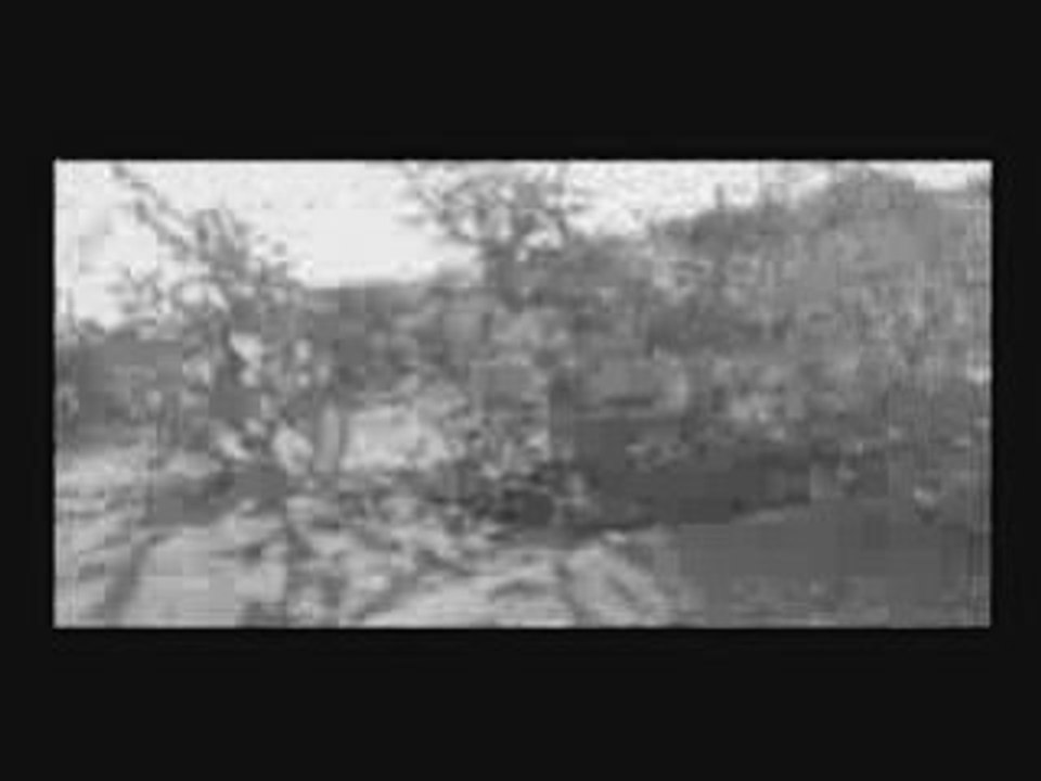 SCARABIO - DANIELE ROSSELLI