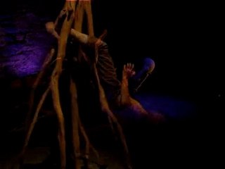 RACINES - Villar d'Arêne - 2006