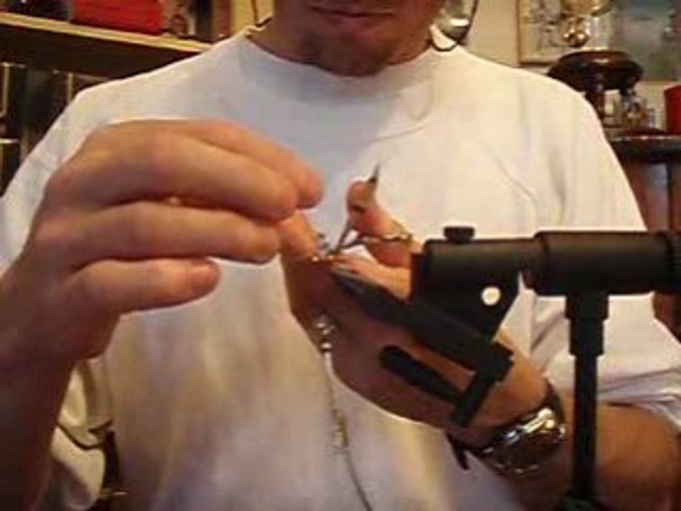 montage de l'alexia nymphe