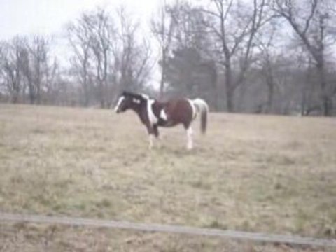 Pétage de plombs! xD