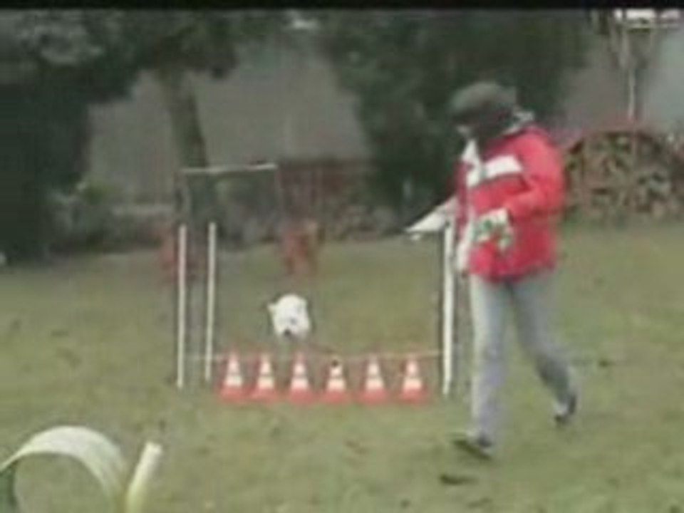 Agility