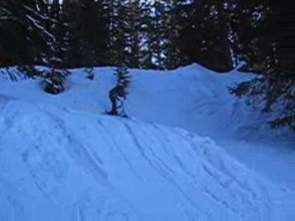 Moi saut