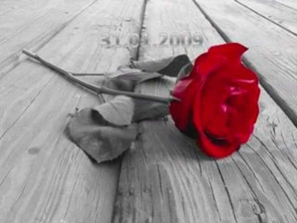 Chopin and the rose
