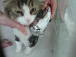 La douche de Gribouille