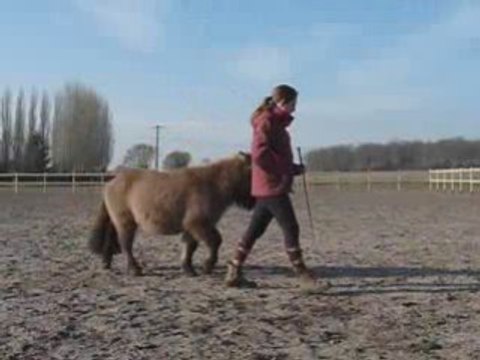 Lutin, Séance du 30 janvier, obstacle
