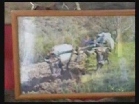 Exposition -Association Horizons d'Ouzellaguen (Béjaia)