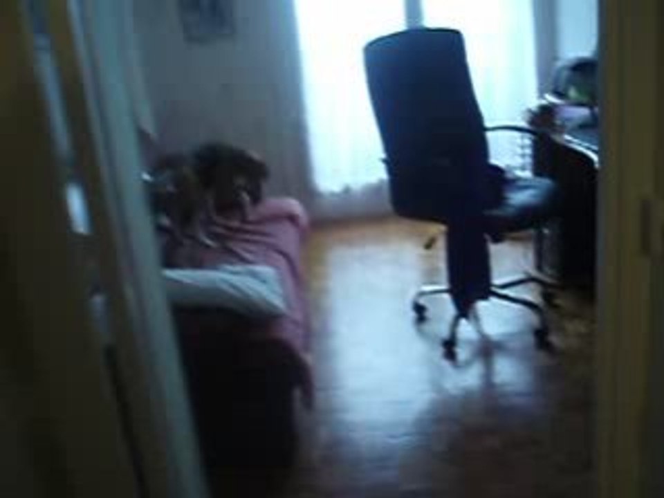 roxinette