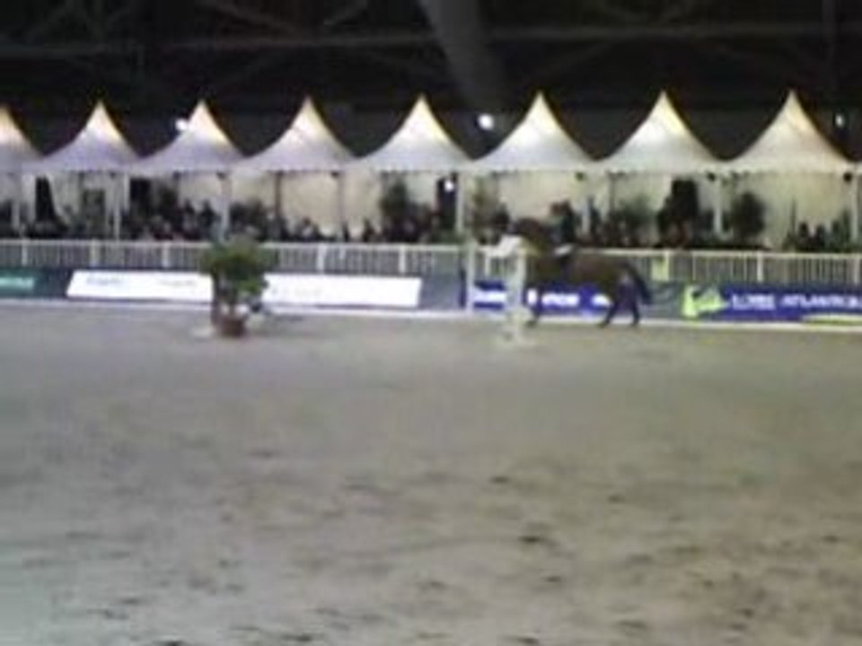 Jumping de Nantes, Idéal