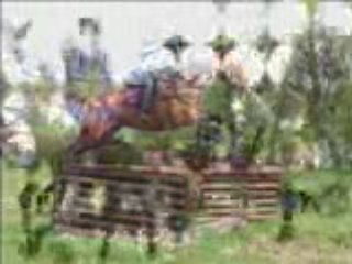 stage equitation CAUDAN