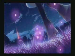 Fragile, impressions