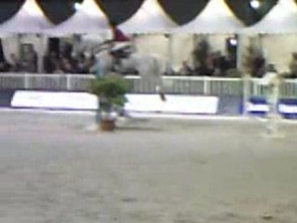 Jumping Nantes, Elene la gagnante sur Ladina