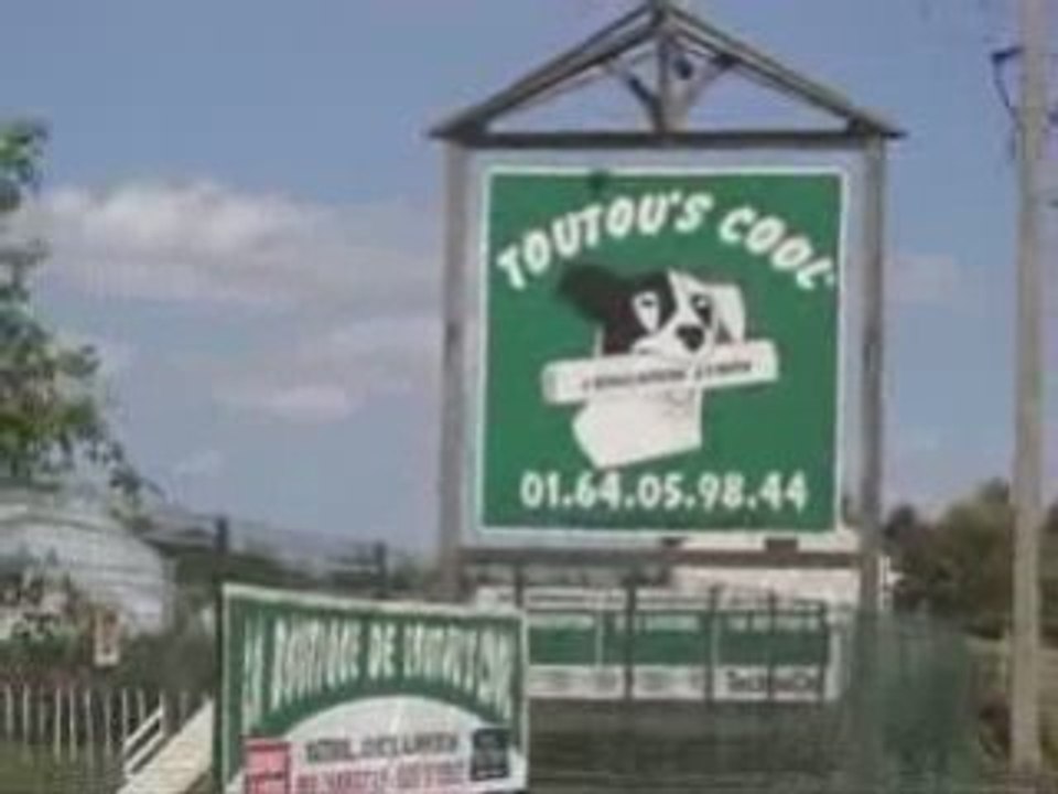Toutou's cool