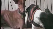 Videoband 2009_01_25_12_17_07