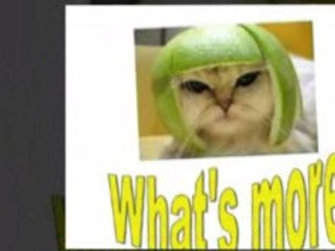 Article marketing software – 900 backlinks in 3 ...