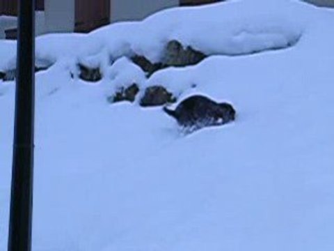 Saint gervais janvier 2009... La p'tite crotte...