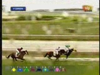 2009 (23) Premio Real Maest.Caball.Sevilla (H) (DUDU)