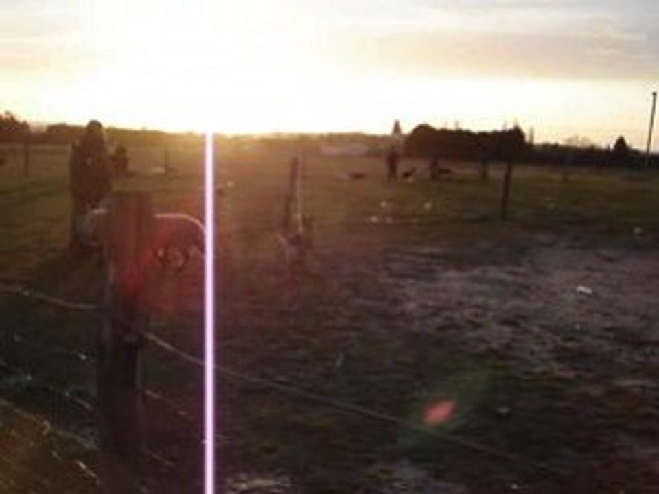 MOV03129
