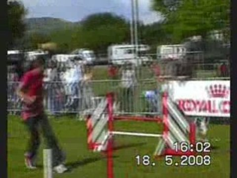 Arteis agility obérythmée 2008