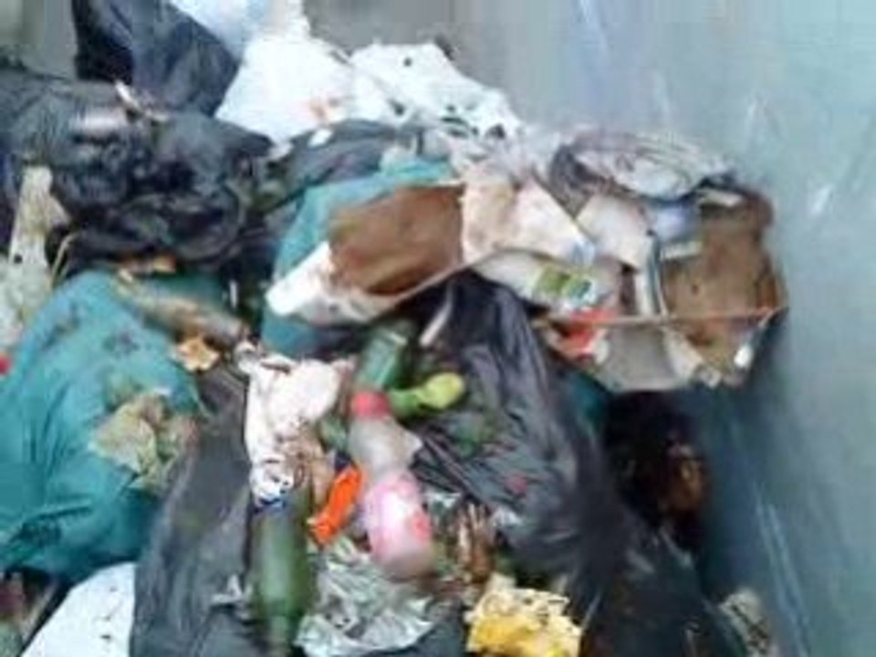 nettoyage la Fossette 2