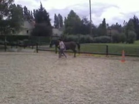 Lolita & Laurène, Hillion & Anouk // Ethologie