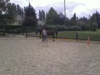 Lolita & Laurène, Hillion & Anouk // Ethologie