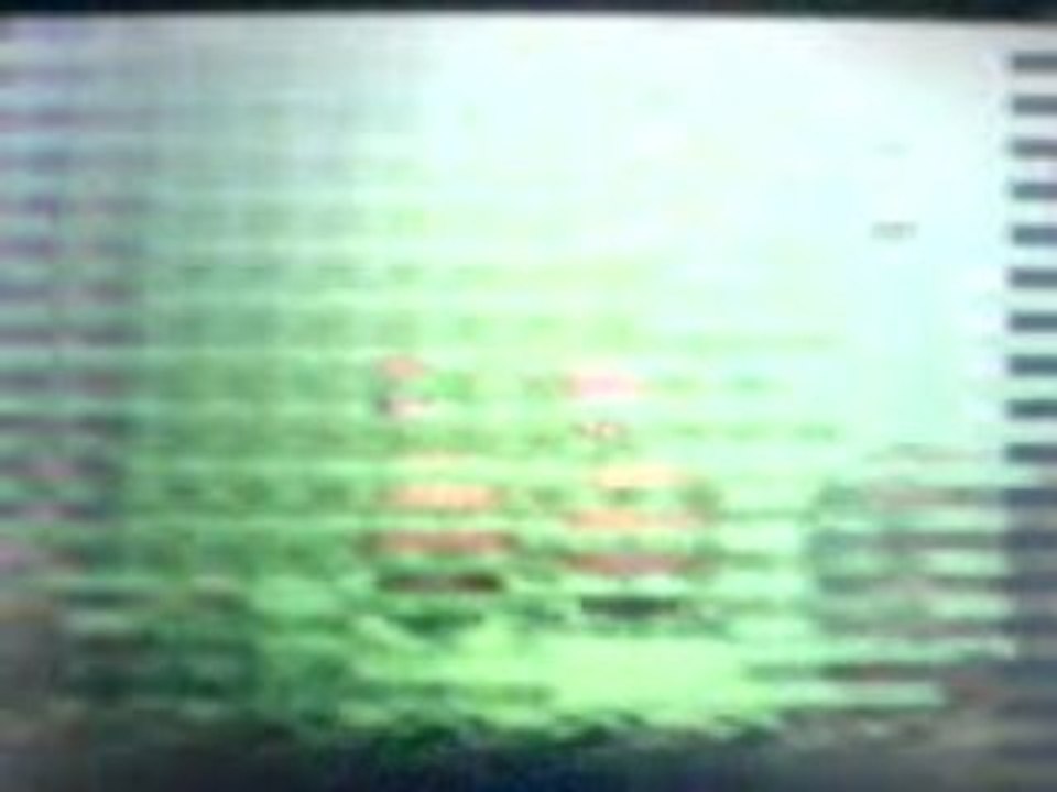 Insolourdo shiney + Herbe shiney