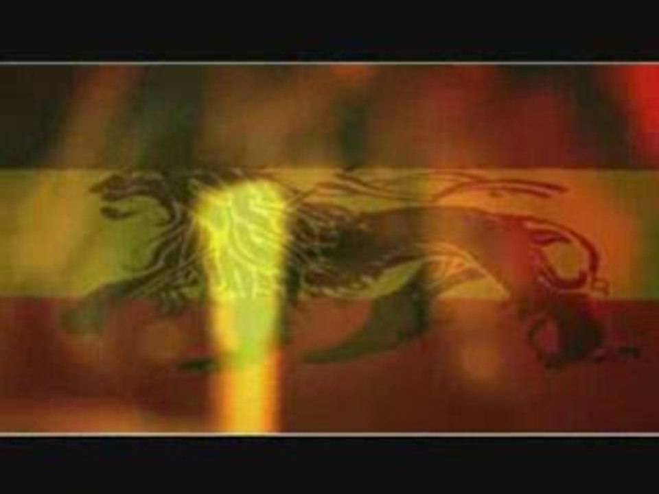 Le Meilleur -  Fefe Typical