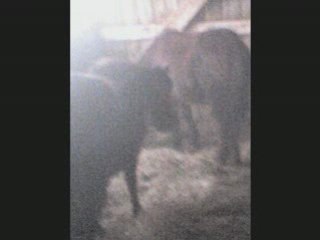 Samedi 24 Janvier 2009