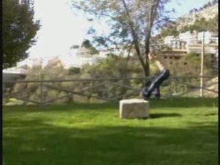 Reason to believe 2009