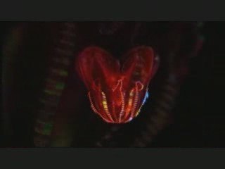 Minilogue - The Girl From Botany Bay