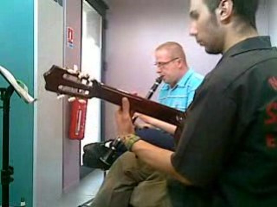 petite fleur acoustique
