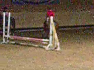 1er Entrainement avec ma ponette