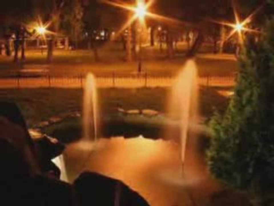 Timisoara PHOENIX