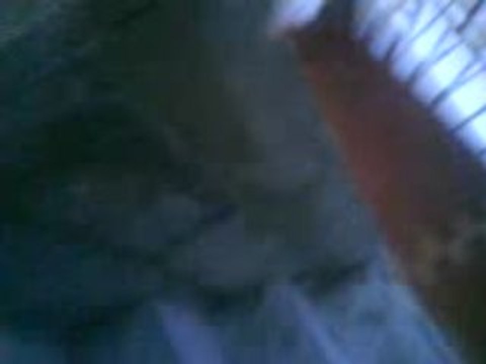 Les conneries dans Morangis